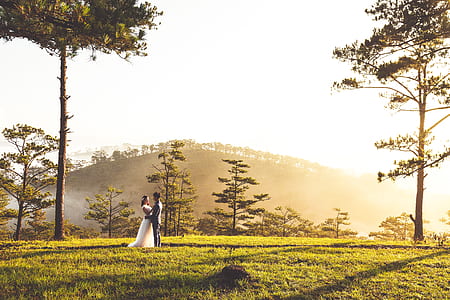 man and woman hugging on grass fiel thumbnail