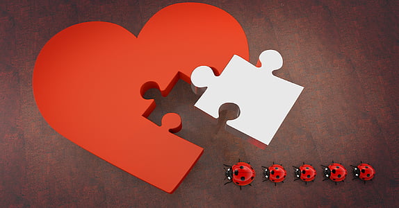 heart-shaped red and white jigsaw cutout with ladybugg thumbnail