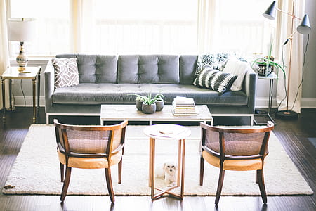 Couch in Living Room thumbnail