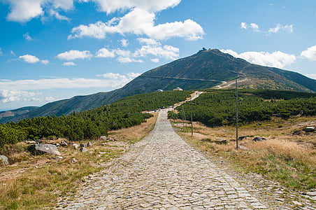 green and gray mountain thumbnail