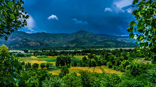 Green Mountain Distance With Trees thumbnail