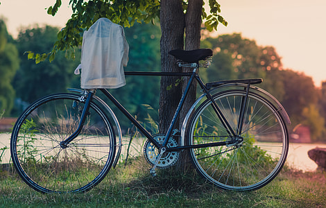 black city bike leaning on tree trunk during sunset thumbnail