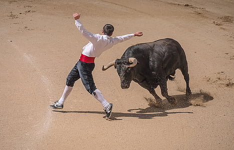 photo of matador dodging charging bull bull thumbnail