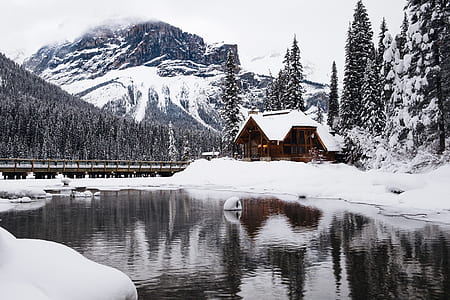 brown house covered of snow near at body of water during daytime thumbnail