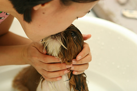 woman kissing white and brown shih tzu puppy thumbnail