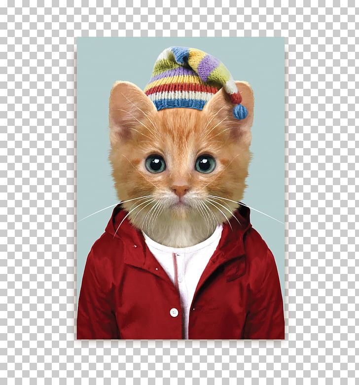 Cat Zoo Portraits 2018 Slim Notes Border Collie Art Cat Png