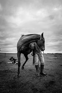 grayscale photo of man standing beside horse thumbnail