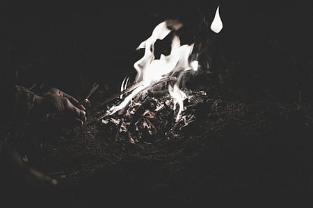 person holding stick near firewood thumbnail