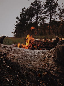 bonfire on green grass field shallow focus photography thumbnail