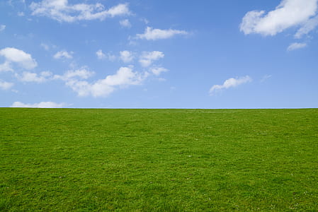 green grass filled thumbnail