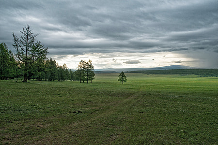 green grass field and trees under cloudy sky thumbnail