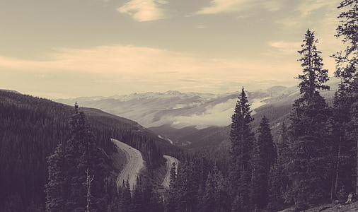 green trees near mountain under white clouds thumbnail