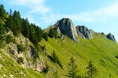 pine trees on mountain at daytime thumbnail