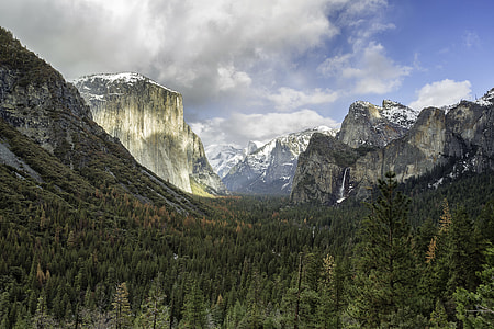 panoramic photography of forest and mountains thumbnail