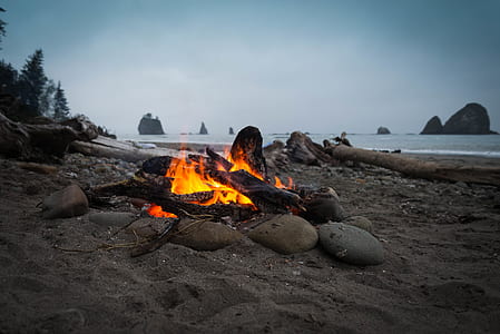 sea, beach, sand, water thumbnail
