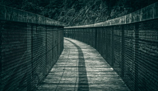 bridge in grayscale photography thumbnail