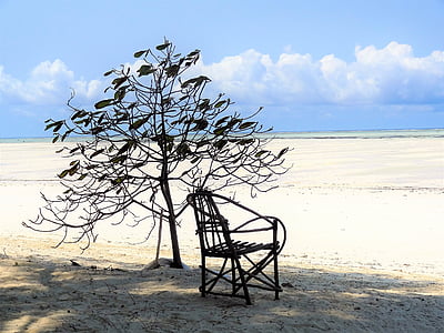 black wooden armchair on brown sand thumbnail