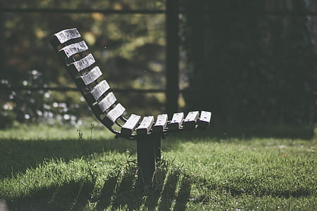 selective focus photography of wooden chair on gardenm thumbnail