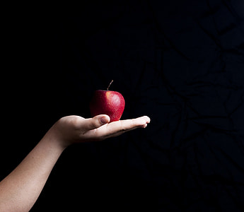 red apple fruit on person's palm thumbnail