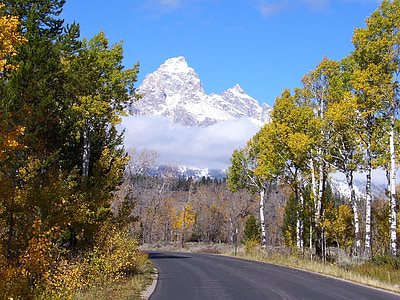 landscape photography of road between trees in front of mountains thumbnail