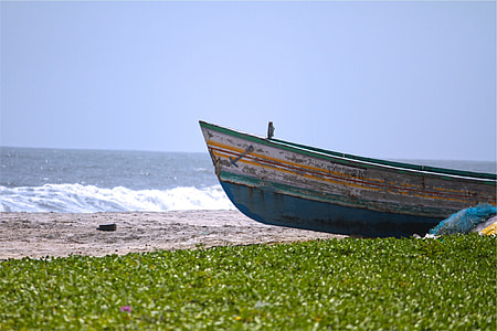 blue boat near green leaf plants on seashore under clear blue sky at daytime thumbnail