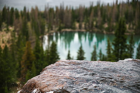 landscape photography of body of water surrounded by trees thumbnail