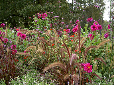 Botanica, Bad Schallerbach thumbnail