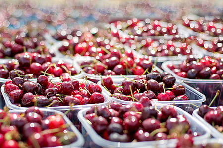 selective focus photography of berry lot thumbnail