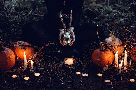 Halloween Night with skulls and pumpkins thumbnail