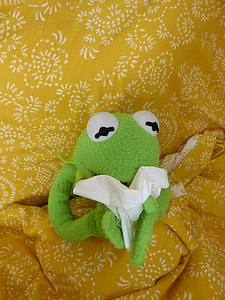 Hermit the Frog plush toy thumbnail
