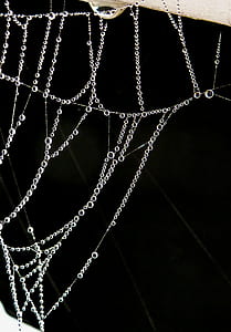 dew, wet, cobweb, spider's web thumbnail