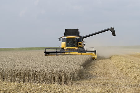 yellow and black harvester harvesting wheats thumbnail