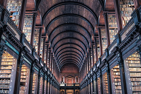 architectural photography of library thumbnail