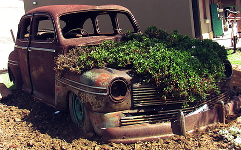 vintage car with green plants during daytime thumbnail