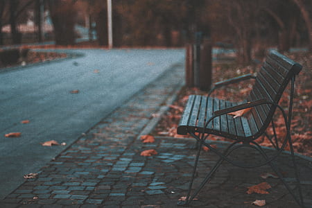 shallow focus photography of black wooden bench thumbnail