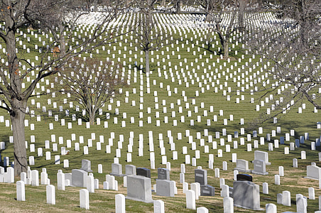 cementery with trees thumbnail