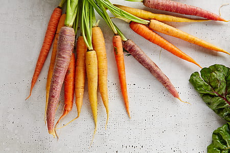piled carrots near leaf thumbnail