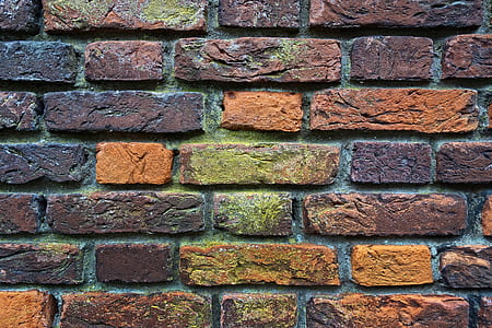 brown and black brick wall thumbnail
