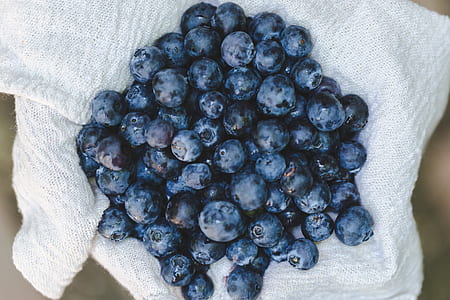 blur, blueberries, fruit, fresh thumbnail