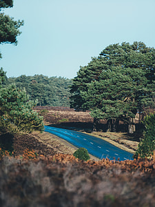 photo of concrete road surround by trees during daytime thumbnail