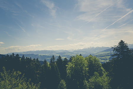 aerial photography of green leafed tree under cloudy blue sky thumbnail