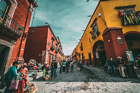 people at the street near buildings during day thumbnail