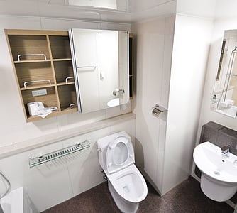 white flush toilet with cupboard with mirror on top thumbnail
