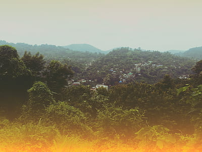 Green Coated Hill With Houses thumbnail