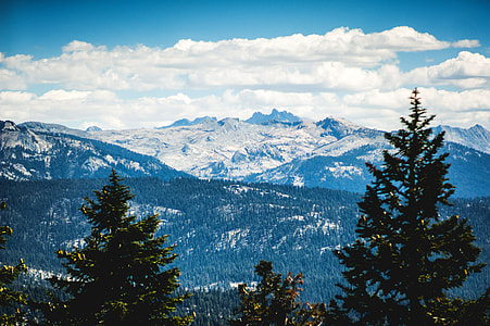 Beautiful Mountain and Forest Landscape in Sequoia National Park, California thumbnail