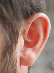 person's left ear thumbnail