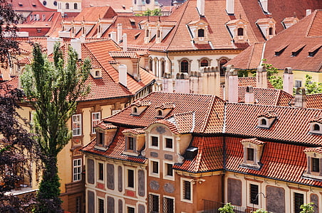 brown houses during daytime thumbnail