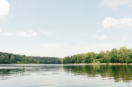 Lake and forest thumbnail