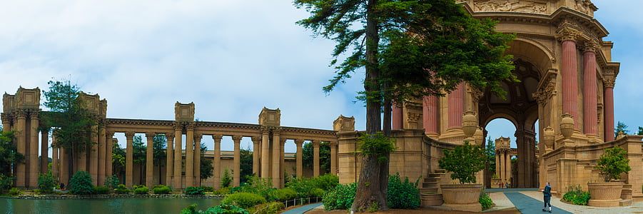 trees beside concrete building thumbnail