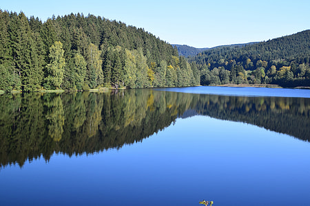 body of water with green trees beside thumbnail
